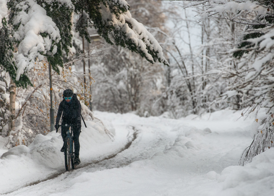 Snow bike