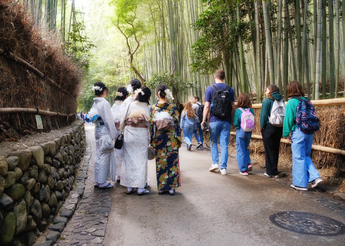 Arashiyama Bamboo