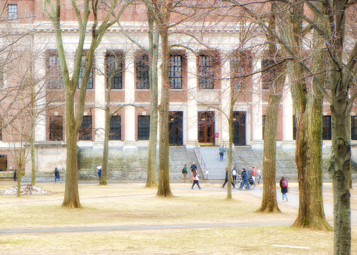 Harvard Stay strong