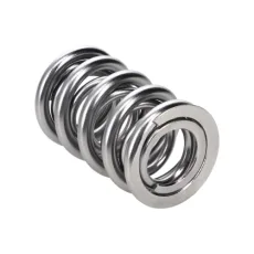 Manley Valve Spring 1.560 DOUBLE