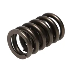 Manley Valve Spring 1.250 SINGLE