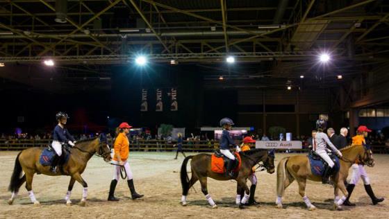 maastricht-skachki-jumping-indoor