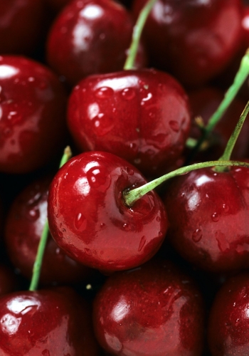 bing-cherries-805416