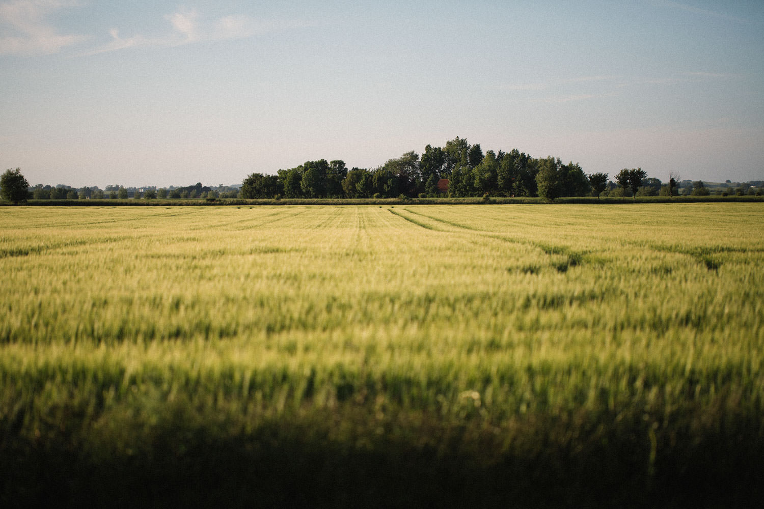 Vy från Idala Gård, Trelleborg. Foto: Tove Lundquist, bröllopsfotograf Skåne.