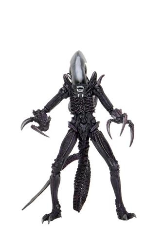 Alien Vs Predator Razor Claws Alien (Movie Deco) - Toys'N'Loot