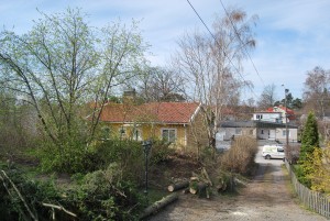 Trädfällning-trädfällare-herrängen-långsjö-långbro-fruängen