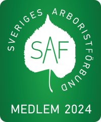 SAF-medlemslogo-Roos-tradfallning-i-stockholm