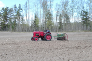 Vårsådd 26 april