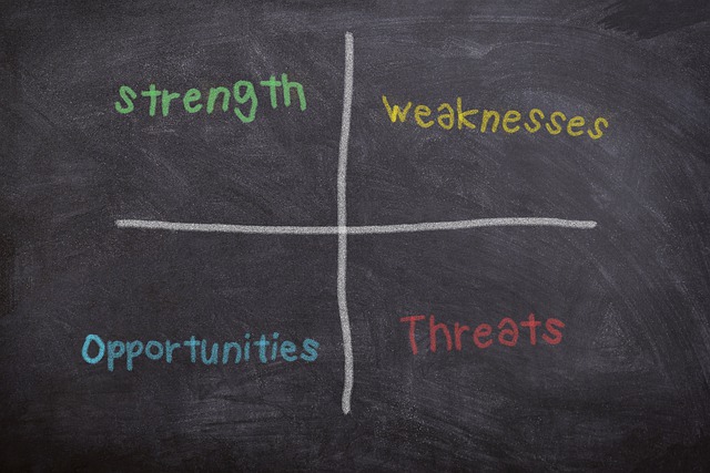 SWOT-Analyse