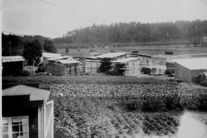 Fotot taget från Kimarps gård mot norr, längst bort syns järnvägen hitom den går Sommavägen och viadukten under järnvägen skymtar också. På mossen där Atteviks och OEM ligger står höhässjorna på rad...