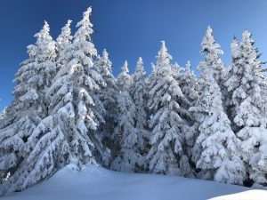 IMG-20191203-WA0005