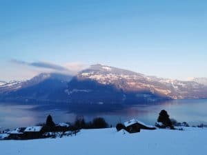 IMG-20210110-WA0020