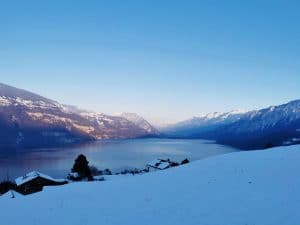 IMG-20210110-WA0022