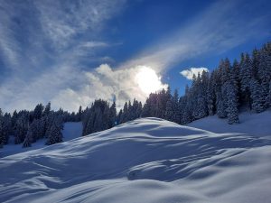 IMG-20210126-WA0012
