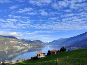 IMG20221116144124-1