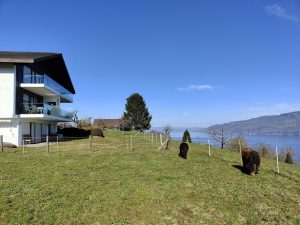 IMG20230318100424-1