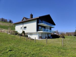 IMG20230409111825-1