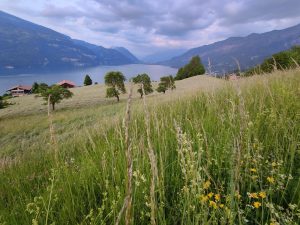 IMG20230527210158-1 - Kopie