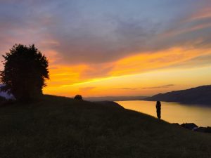 IMG-20230710-WA0006_1