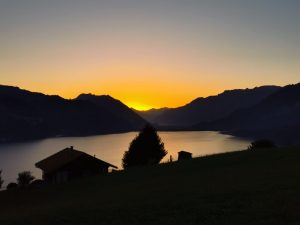 IMG-20230811-WA0001_1