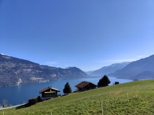 IMG20230318100700_1