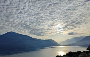 IMG_20230818_105022_1
