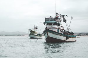 Mancora, Schildkröten und die Wale 25