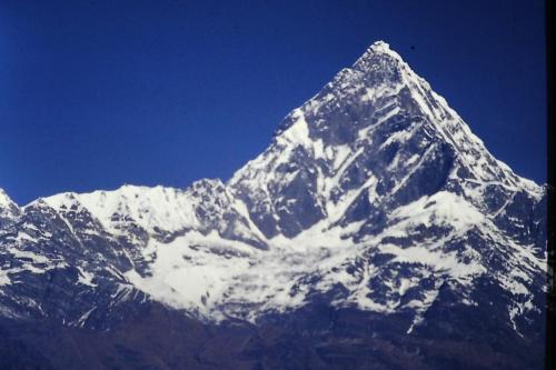 Machapuchare the Holy Mountain