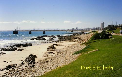 Port Elizabeth. Departure for Garden Route