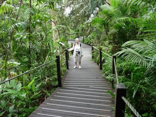 Stop Halfway for a walk in the forest