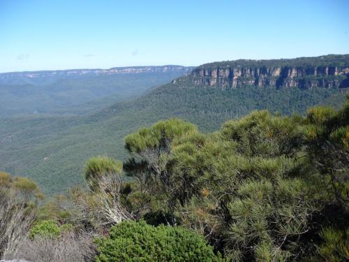 Blue Mountains Views