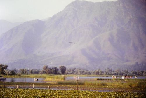 Kashmir Dal Lake