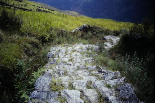 Gurung Staircase