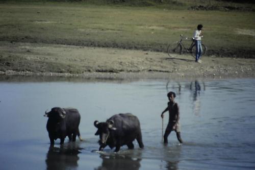 River boundary Chitwan