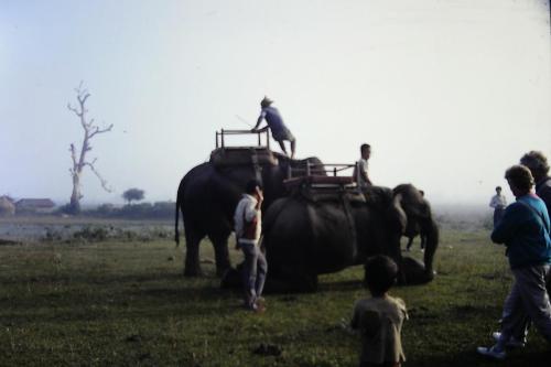 Preparing for Elephant Safari