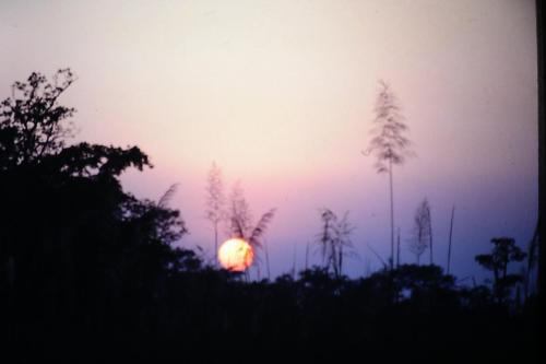 Sunrise at Chitwan