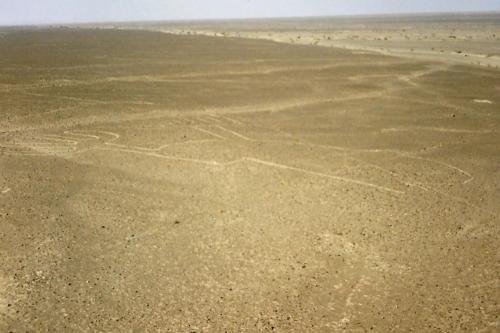 !st sight of Nazca lines from the Tower