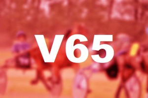 V65