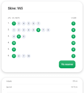 Skive V65 Gevinst