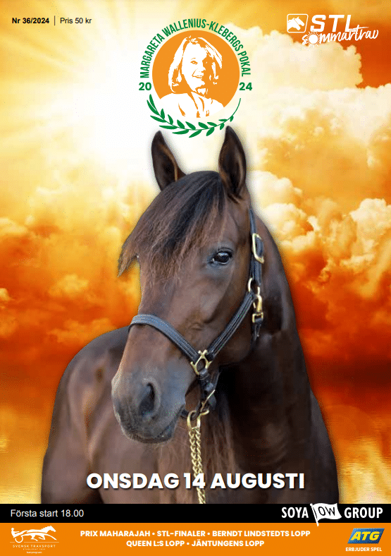 Solvalla baneprogram