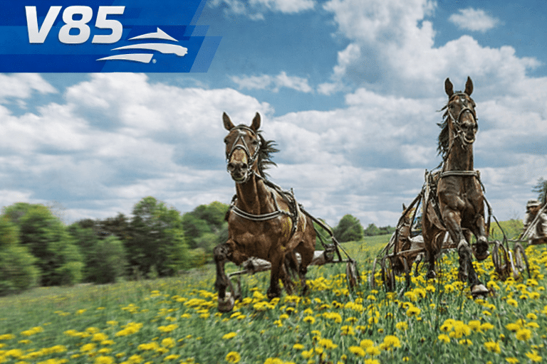 V85 Spring Race