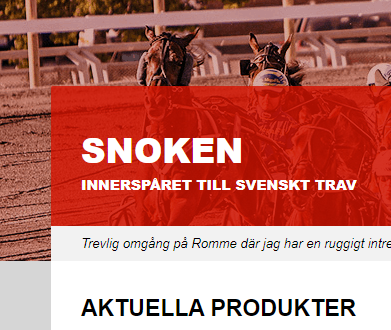 Snoken.se