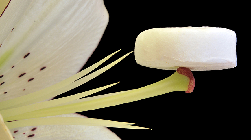 Aerogels of nanocellulose is an extremely leightweight  type of material. The photo shows an aerogel on a part of a flower.