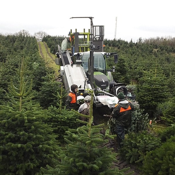 juletræsmaskiner