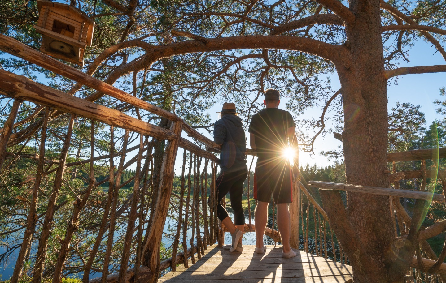 plattform island hut treetop Fiddan