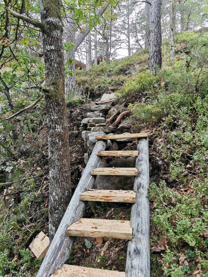 TreeTop Fiddan Cliff Cabin (4)