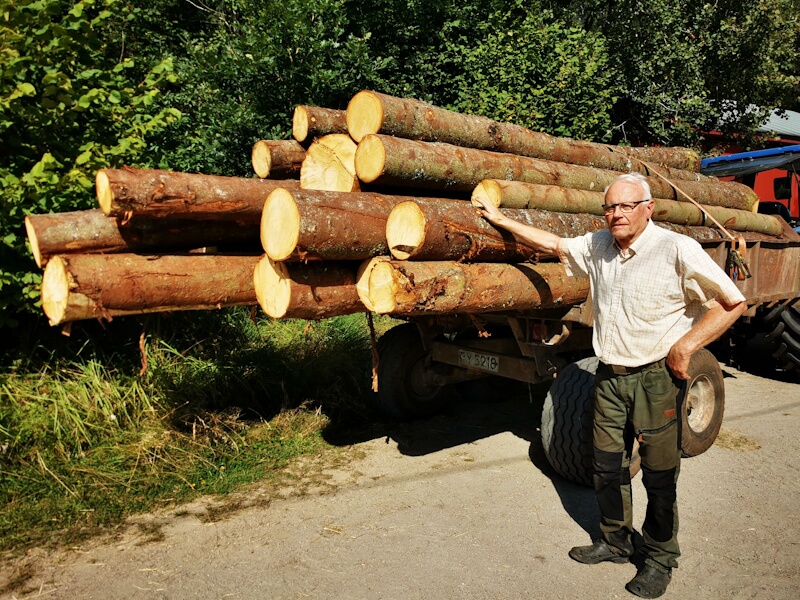 Timber for Cliff Cabin