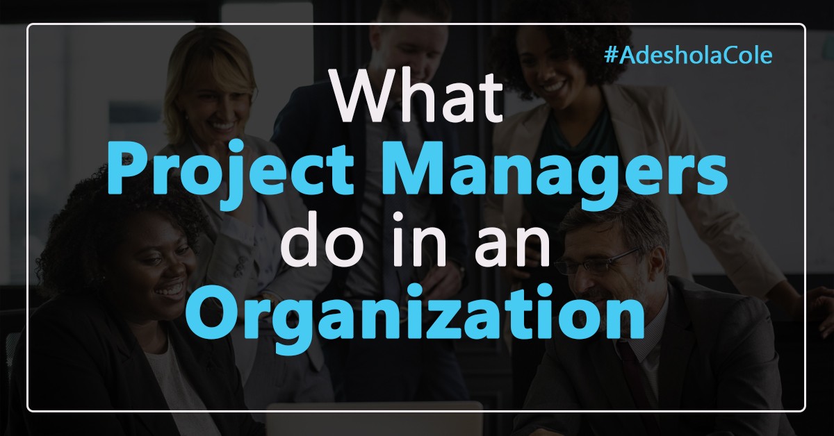 You are currently viewing What Project Managers do in an Organization