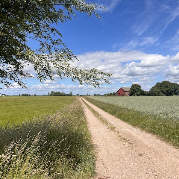 Mäklare Vellinge