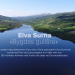 Droneprosjektet_Surna_Bygdas_gullåre